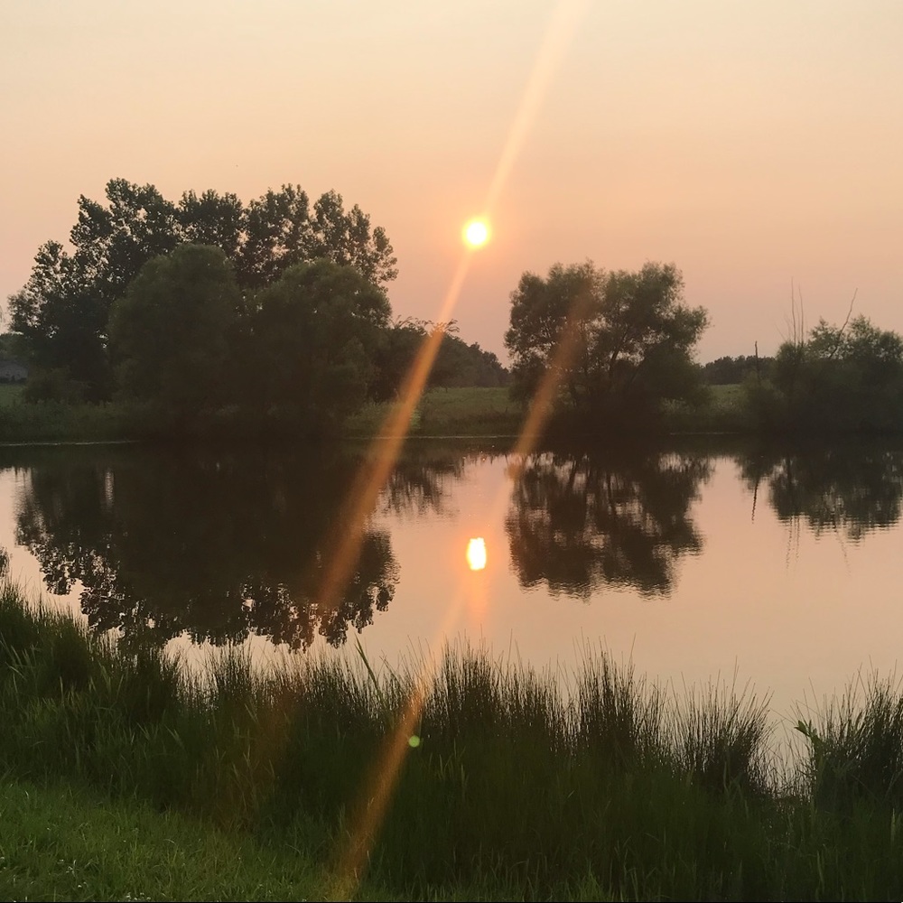 Meet your Posher, Addyson